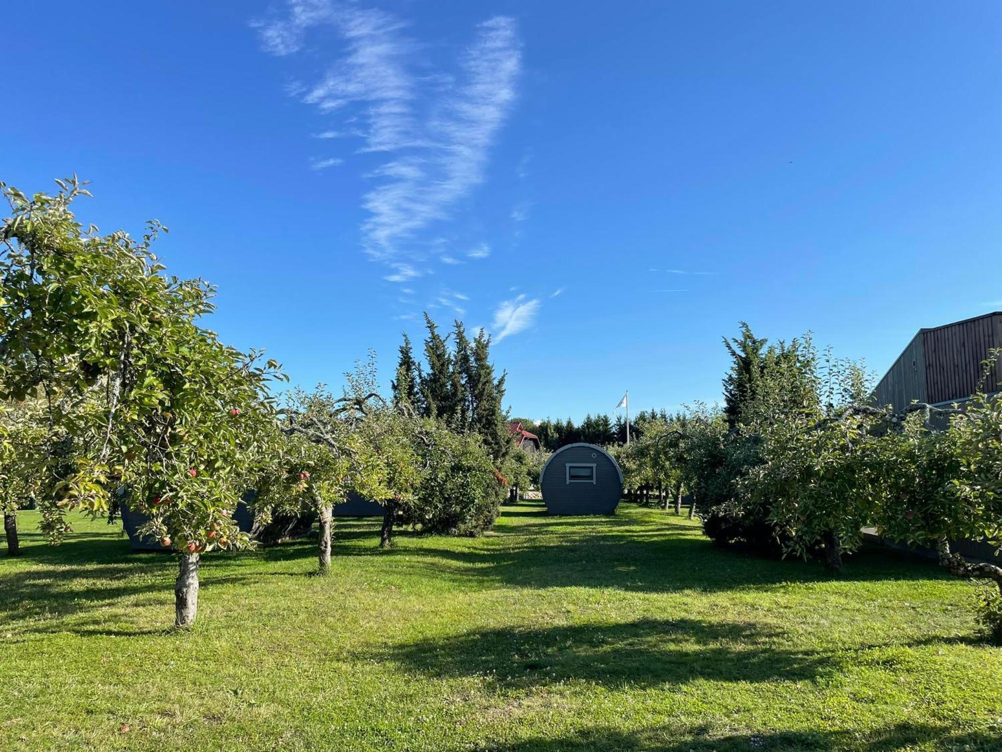 Vetsi Talli Holiday Village Kassari Eksteriør billede