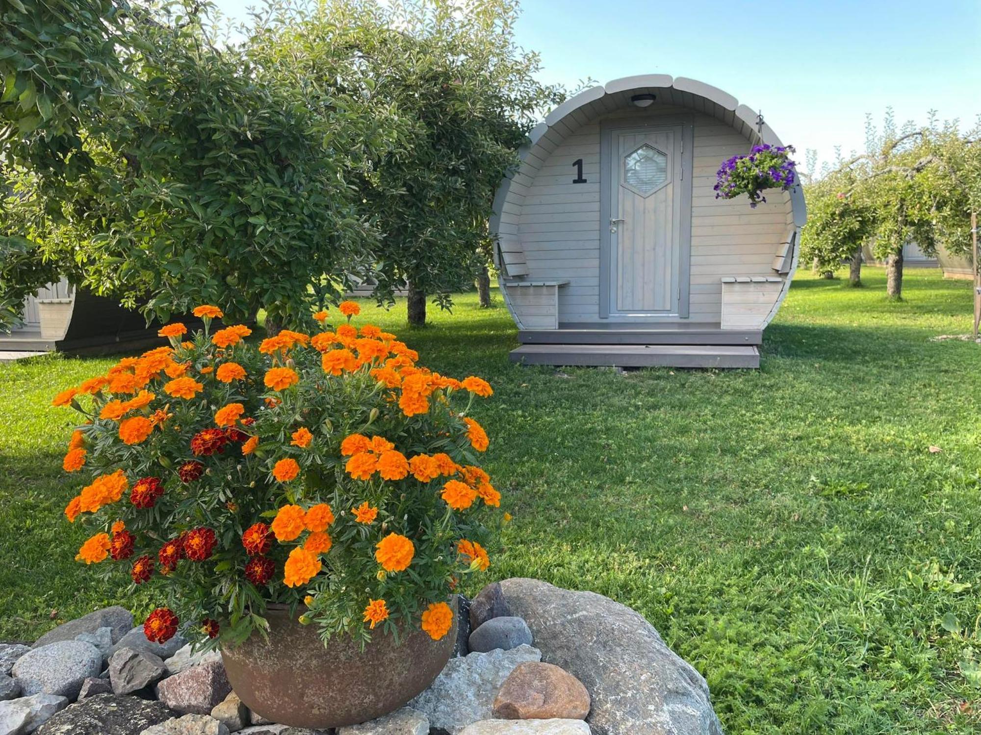 Vetsi Talli Holiday Village Kassari Eksteriør billede
